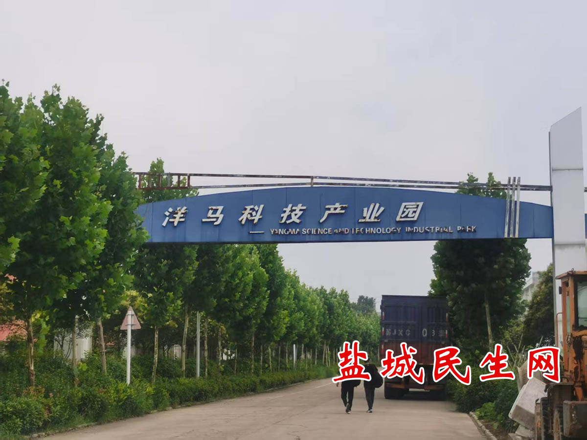 48171769408335_.pic.jpg