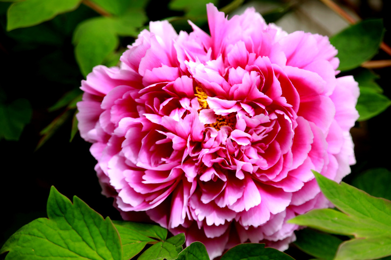 8W9A9655.JPG