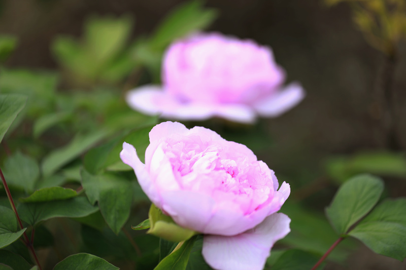 8W9A9689.JPG