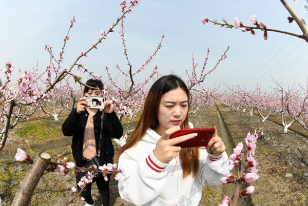 微信图片_20230320122038.png