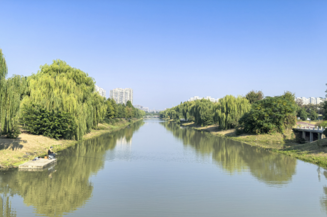 亭湖区毓龙街道：让志愿之花在青春绽放