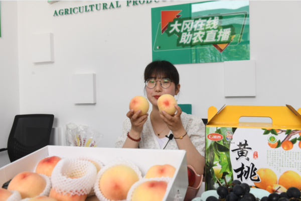 微信图片_20230320122123.png