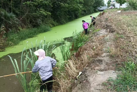 360截图20260805164857510.png