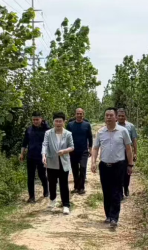 360截图20260609164650176.png